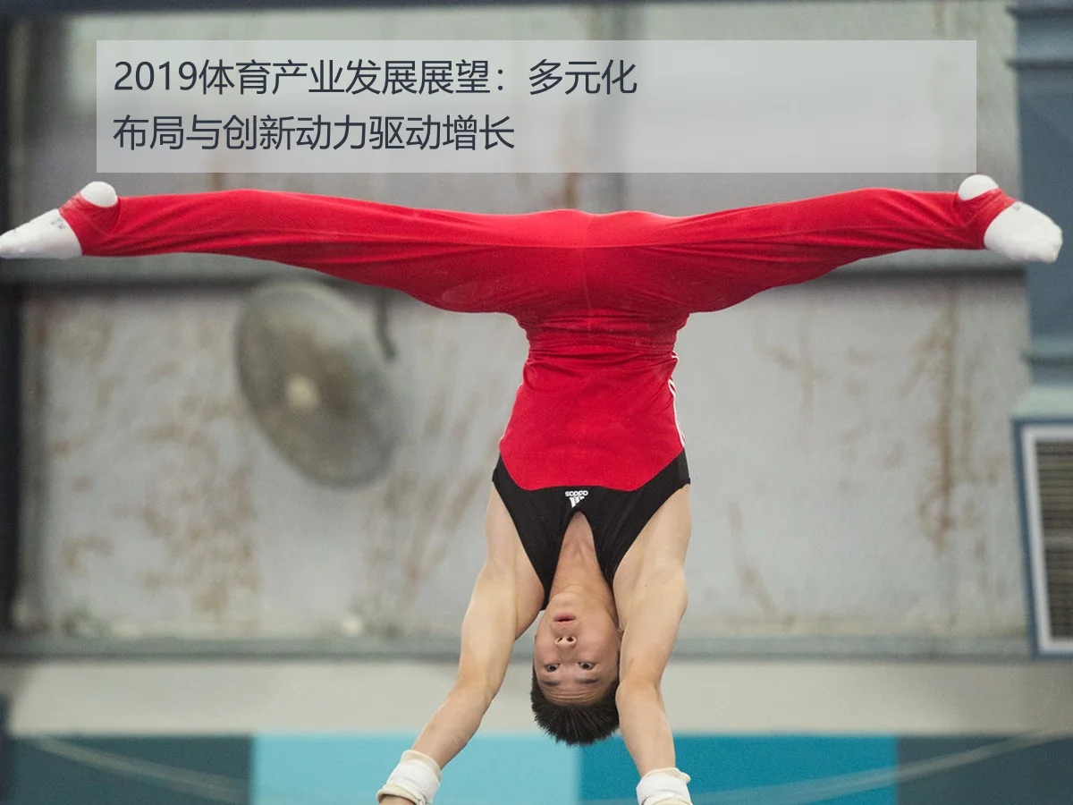 2019体育产业发展展望：多元化布局与创新动力驱动增长